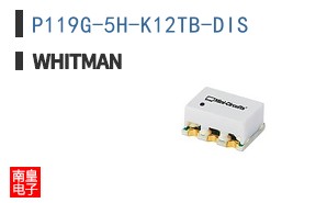 P119G-5H-K12TB-DIS ͼƬ